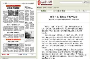 安阳爆料新闻最新消息今天,最新爆料揭示惊人真相,事件进展追踪
